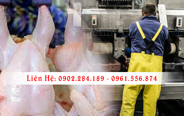 Tuyển Lao Động Chế Biến Thịt Làm Việc Tại Canada Được Bảo Lãnh Vợ Con Cơ Hội Định Cư